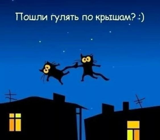   - 28  2022  23:07