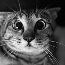 ���� Serg, ����� - ��������� 12 �������� 2022 � ������ ���� ����������