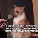 ���� �����, ��������, 49 ��� - ��������� 31 ������� 2022 � ������ ��� ����