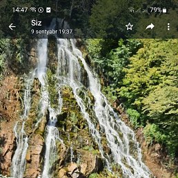 �����, ����, 44 ����