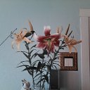 ���� �����, �����, 38 ��� - ��������� 9 ������ 2023 � ������ ���� ����������