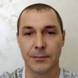 ������, �����, 41 ���