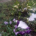 ���� ���� ��������, ������, 52 ���� - ��������� 4 ������ 2022 � ������ ���� ������