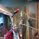 ���� ���������, ���, 71 ��� - ��������� 16 ������ 2023 � ������ ���� ����������