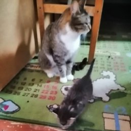 ���� ���������, �����-���������, 47 ��� - ��������� 30 ������� 2022