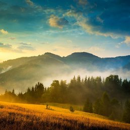 ������, ������, 31 ���