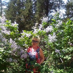 ���� ��������, �����������, 71 ��� - ��������� 26 ������ 2023