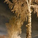 ���� ���������, ��������� - ��������� 10 ������� 2022 � ������ ���� ����������