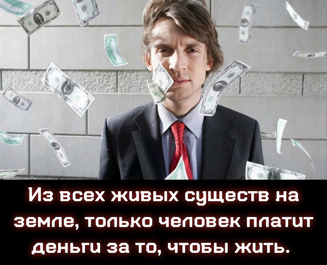 ����� - 18 ������ 2023 � 23:51