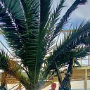 ���� ����, ���������, 65 ��� - ��������� 14 ������� 2023 � ������ ���� ����������