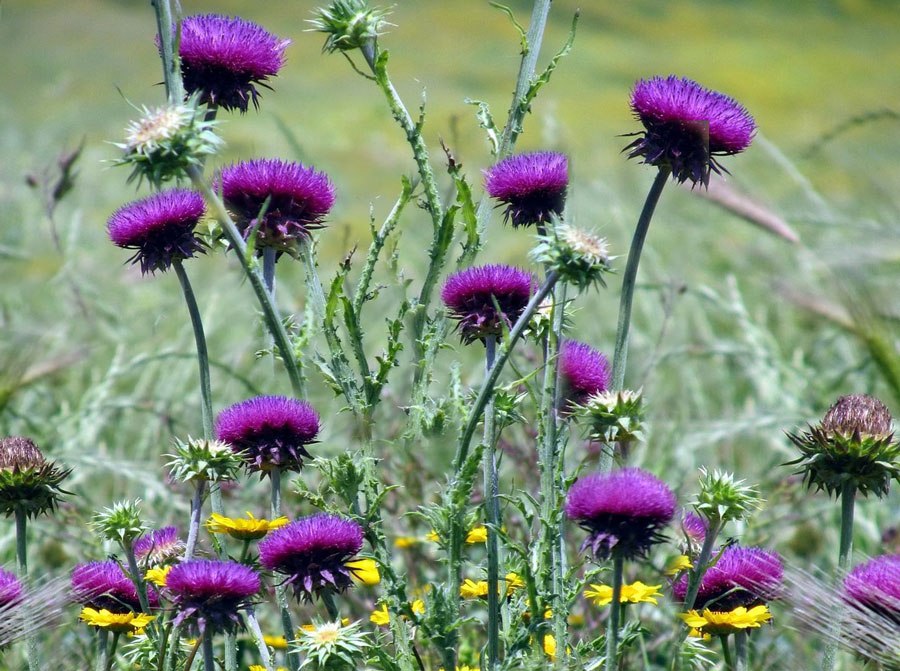 Z G  - 9  2023  12:47