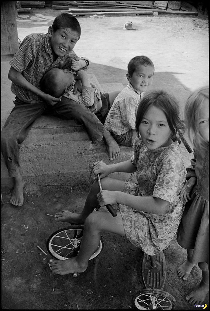 Назад в СССР 1970-х.Можно было бы сказать, что автор намеренно искал сюжеты про самое днище СССР, но ... - 10