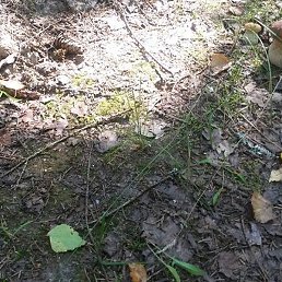 ������, ������ ��������, 69 ���