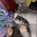 ���� ����, �����������, 64 ���� - ��������� 18 ���� 2022 � ������ ���������� � ���� 2022 �. .... )))�