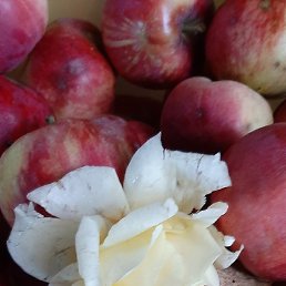 ����, �����, 89 ���