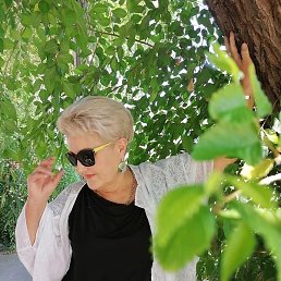 ����, ���������, 61 ���