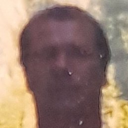, , 43 