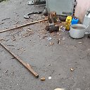 ���� �����, ������, 34 ���� - ��������� 7 ������� 2023 � ������ ���� ����������