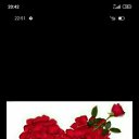 ���� ���� 19����67����., ������-��-����, 58 ��� - ��������� 11 ������ 2023 � ������ ���� ����������