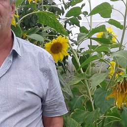 Raykov, ������, 68 ���