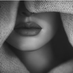 ����, �������, 47 ���