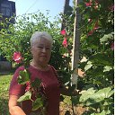 ���� ������, ����� - ��������� 29 ���� 2022 � ������ ������ ��������