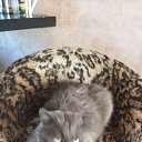 ���� ������, �����, 53 ���� - ��������� 16 ������� 2022 � ������ ���� ����������