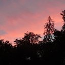 ���� ����, ������ - ��������� 20 ������� 2022 � ������ ���� ����������
