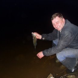 �����, ������, 56 ���