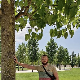 ����, ������-��-����, 37 ���