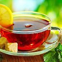 ���� �����, ������, 51 ��� - ��������� 14 ��� 2022 � ������ ���� ����������