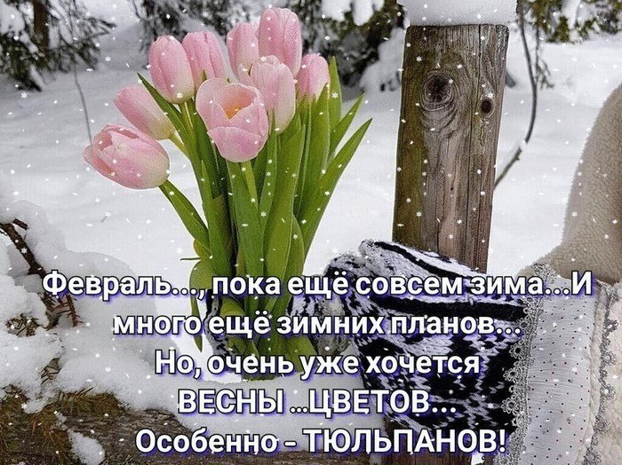  - 7  2022  19:25