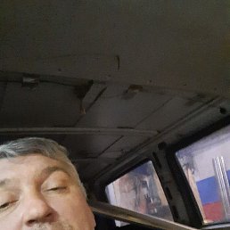 ����, �����-���������, 47 ���