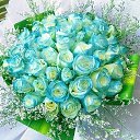 ���� ������, ���������, 47 ��� - ��������� 3 ���� 2022 � ������ ���� ����������