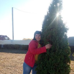 ���� �������, ������, 54 ���� - ��������� 22 ������ 2023