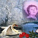 ���� ���� ��������, ����� - ��������� 23 �������� 2022 � ������ ���� ����������