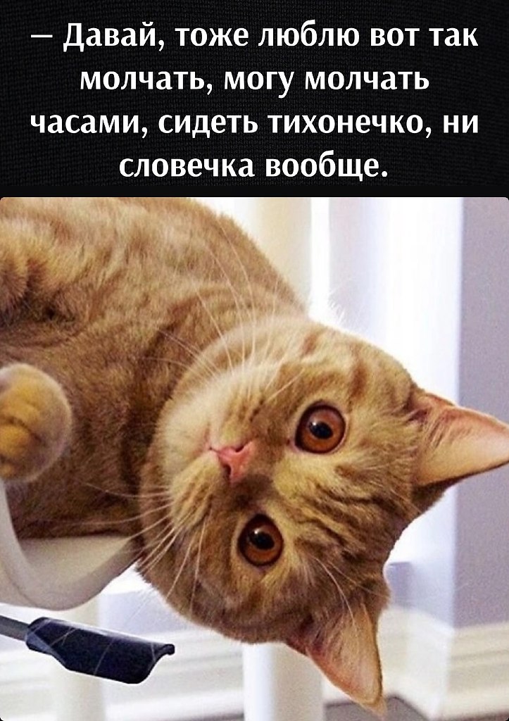       - 18  2022  11:36 - 3