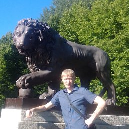 ���� ����������, ������ ��������, 39 ��� - ��������� 3 ������� 2022