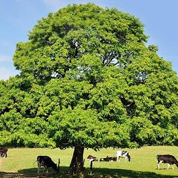 ���� �����, ������, 37 ��� - ��������� 9 ������� 2023