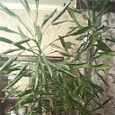 ���� ���������, ������, 40 ��� - ��������� 9 ������� 2023 � ������ ���� ����������