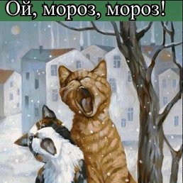 ���� ����, ������, 47 ��� - ��������� 12 ������� 2023