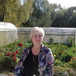 �������, ����, 68 ���