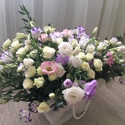 �����, �����, 34 ����