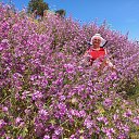 ���� �����, �����, 66 ��� - ��������� 7 ���� 2022 � ������ ���� ����������