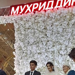 ������� �����, �����-���������, 27 ���