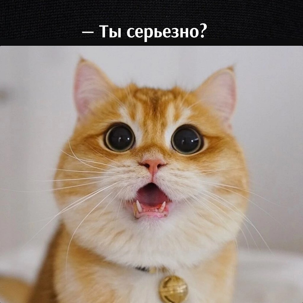       - 13  2022  15:33 - 3