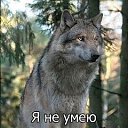���� �������� ����, ������ �����, 63 ���� - ��������� 5 ������ 2023 � ������ ���� ����������