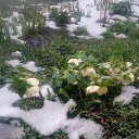 ���� ���� ��������, ������, 52 ���� - ��������� 4 ������ 2022 � ������ ���� ������