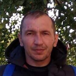 �������, ������, 41 ���