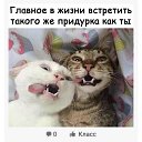 ���� ������, ������, 50 ��� - ��������� 8 ������� 2022 � ������ ���� ����������